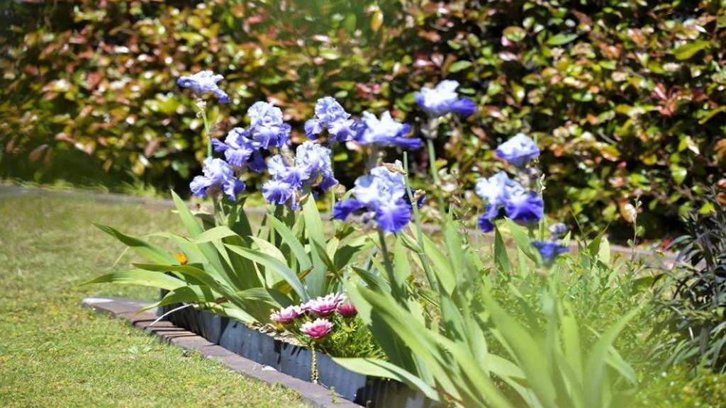 Victoria'S Guesthouse Bowral Exterior photo